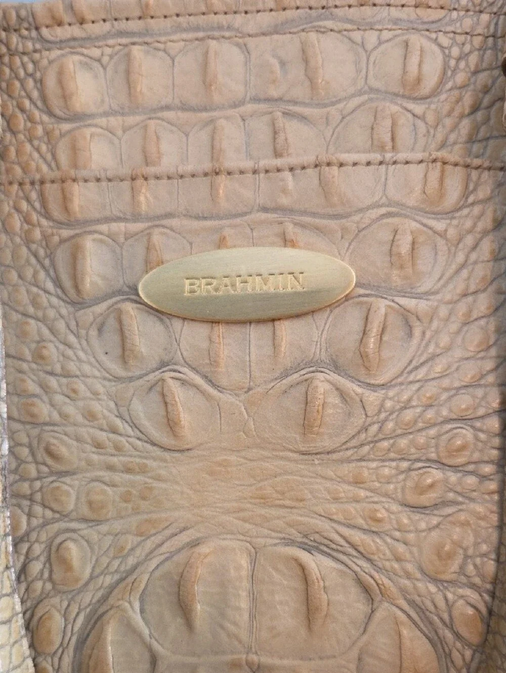 Brahmin medium asher